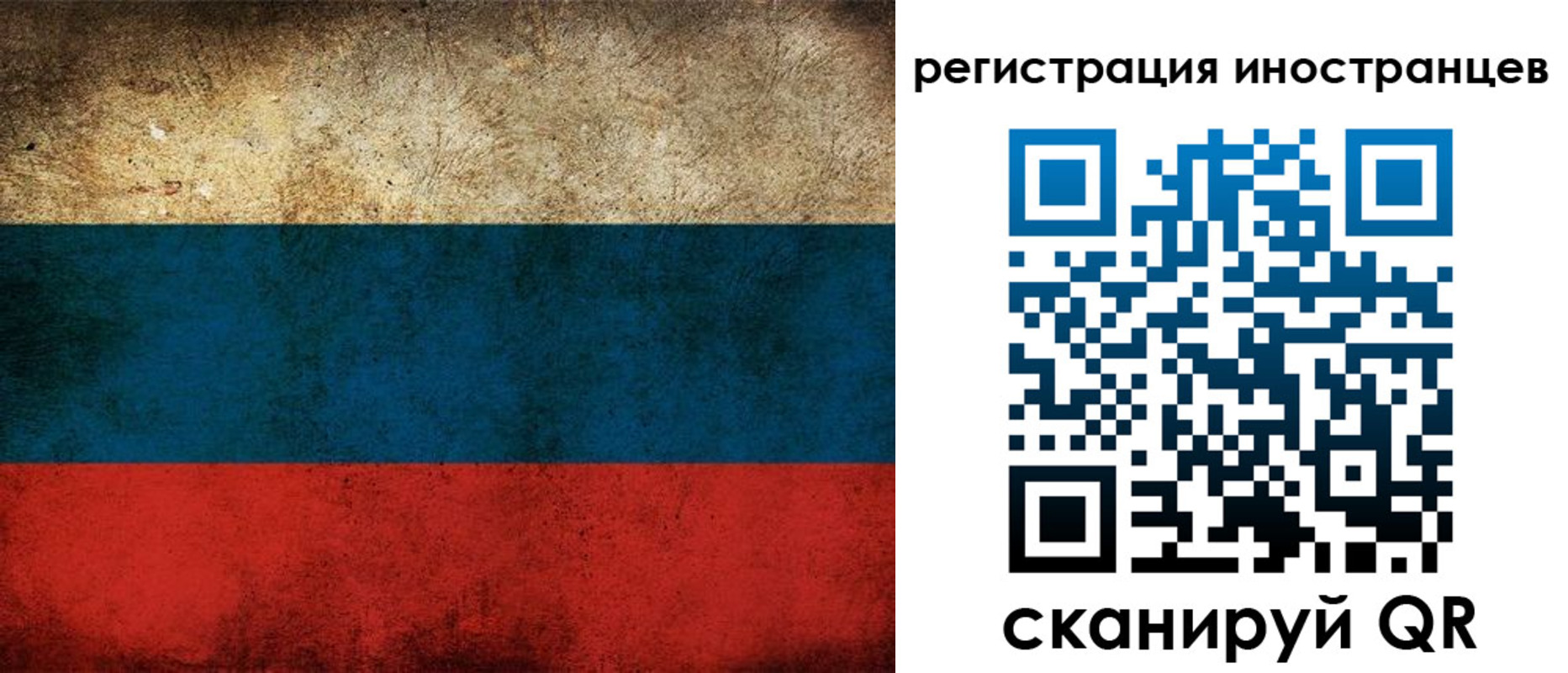 прописка для работы в Светлогорске