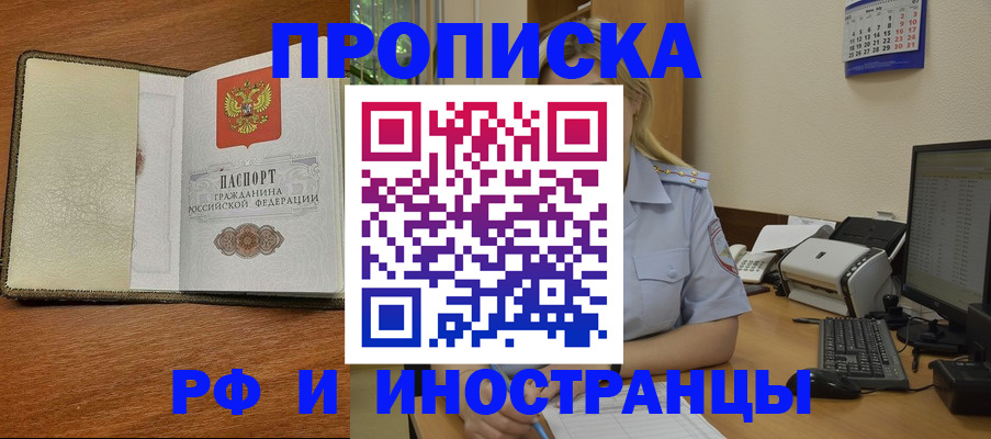 пропишу в квартире в Светлогорске